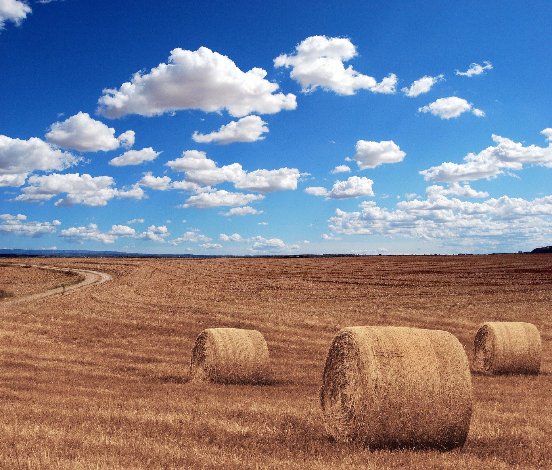 hay-bales-644440_1920